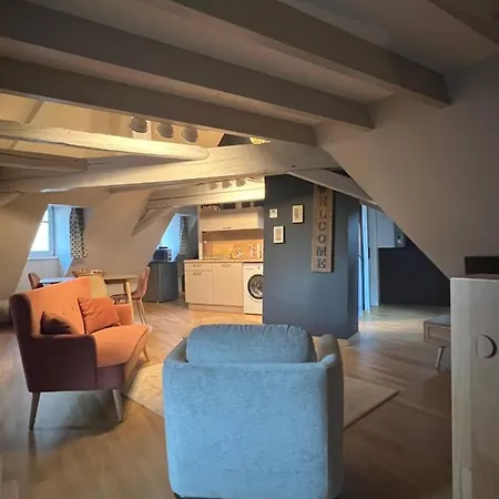 Apartament Duplex Atypique Au Coeur De Miluza