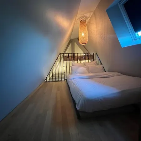 Duplex Atypique Au Coeur De Apartament Miluza