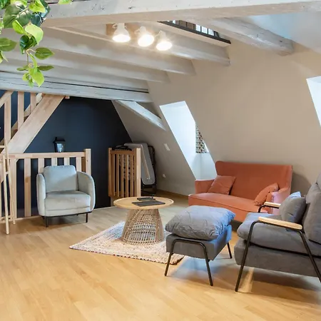 Duplex Atypique Au Coeur De Lägenhet Mulhouse