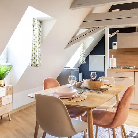 Lägenhet Duplex Atypique Au Coeur De Mulhouse